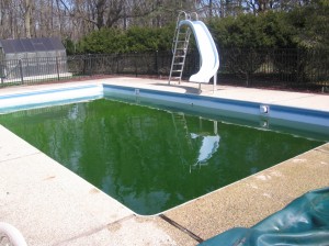 Before with old liner