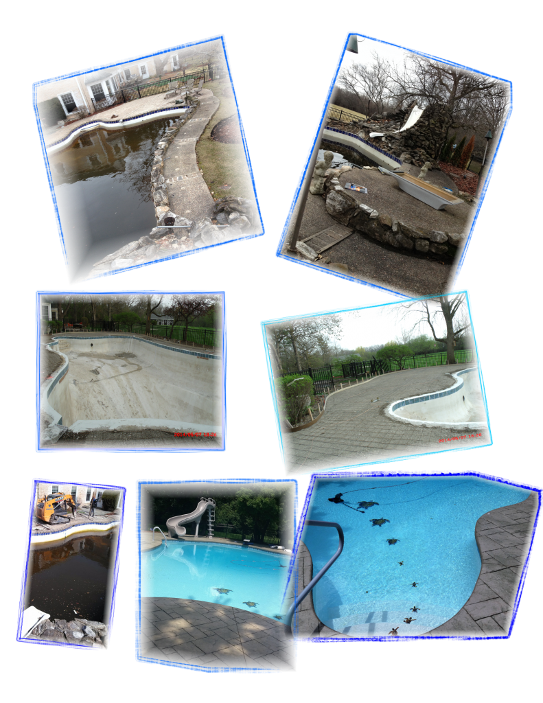 Services Accurate Pool Service