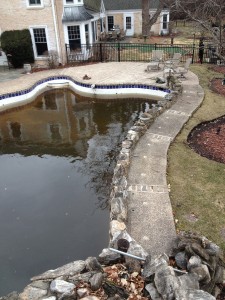 Pool Renovation before 1 of 3